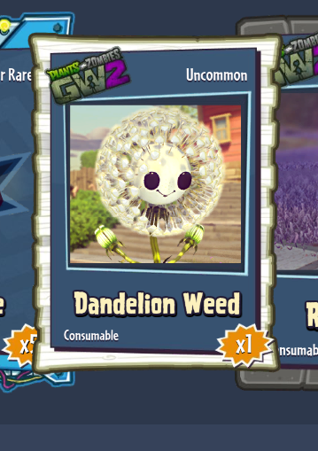 Dandelion Weed